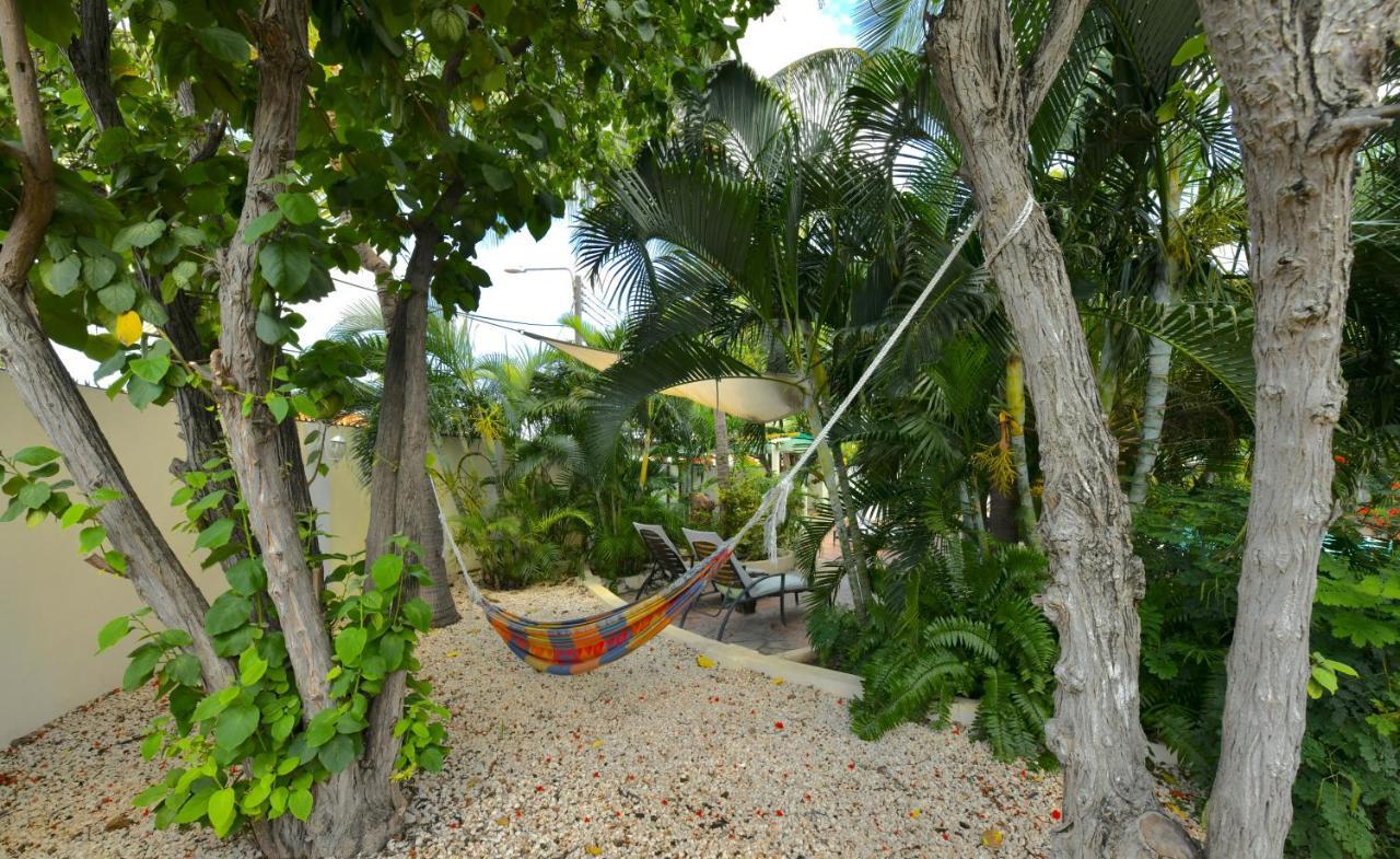 Wonders Boutique Hotel Oranjestad Exterior photo
